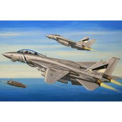 F-14D Super Tomcat.
