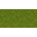 Scatter grass, spring meadow. NOCH 08200