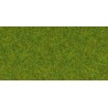 Césped verde primavera. NOCH 08200
