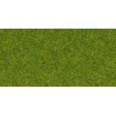 Césped verde primavera. NOCH 08200