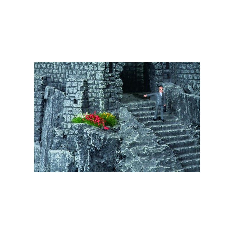 Grass tufts flowering. NOCH 07135