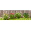 Mechones de flores. NOCH 07010