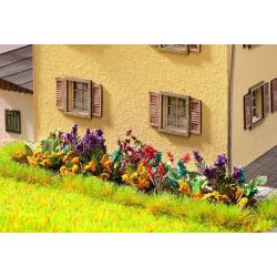 Fiori da giardino.