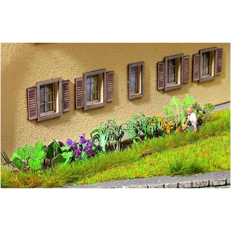 Plantas de huerta. NOCH 14054