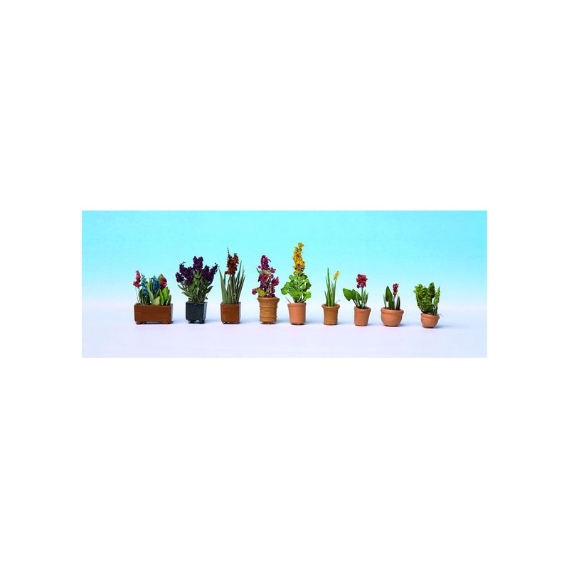 Ornamental plants, in flower pots. NOCH 14012 Ornamental plants, in flower pots. NOCH 14012
