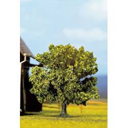Green fruit tree.