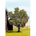 Green fruit tree. NOCH 21560