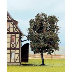 Rowan tree,.