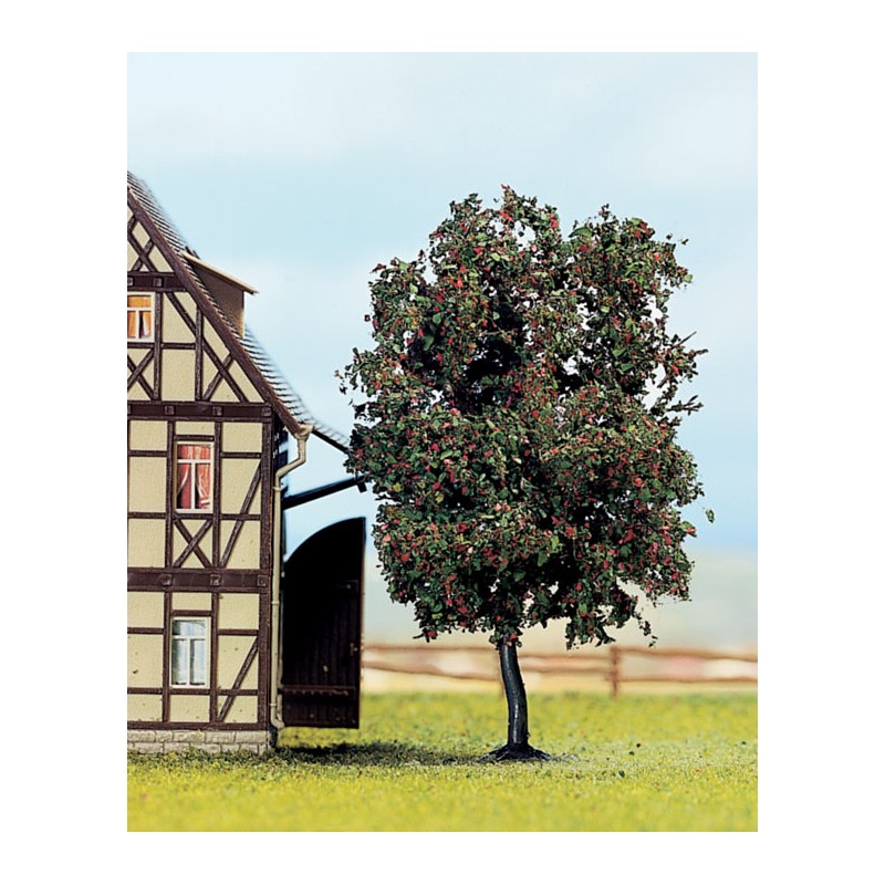 Rowan tree,. NOCH 21650