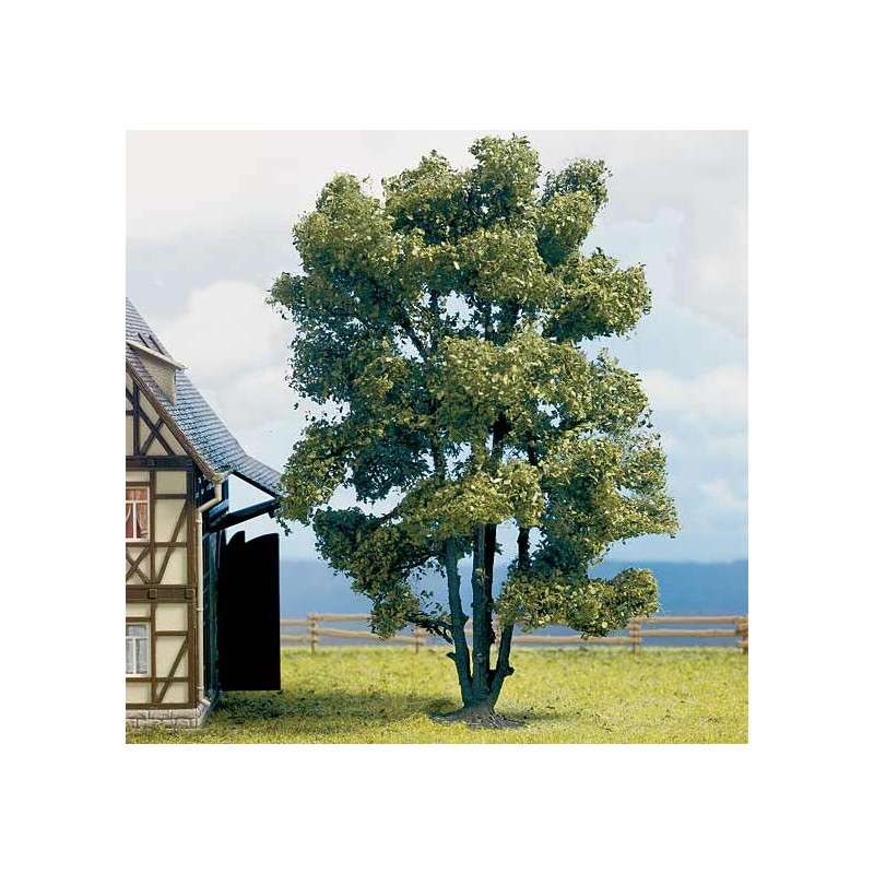 Acacia de 150 mm. NOCH 21660