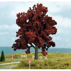 Cooper beech.