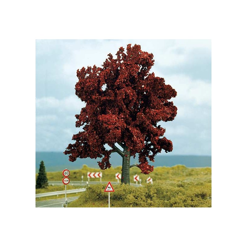 Cooper beech. NOCH 21730