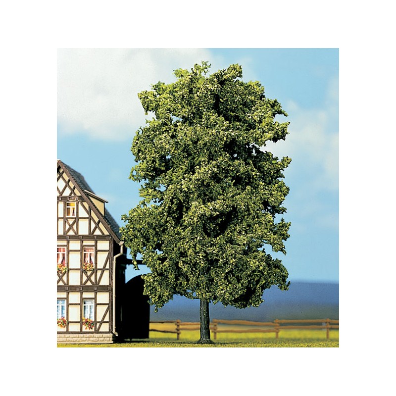 Lime tree. NOCH 21780