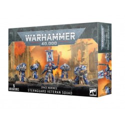 Space Marines. Escouade arrière des anciens combattants.