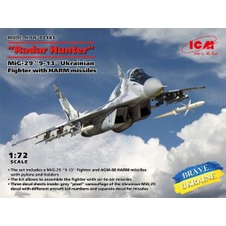 "Radar Hunter" MiG-29.