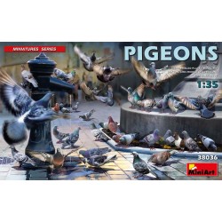 Pigeons.