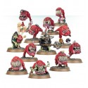 Gloomspite Gitz. Squig Herd.