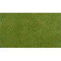 Spring grass medium roll. WOODLAND RG5131