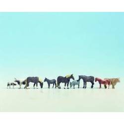 Animales de granja