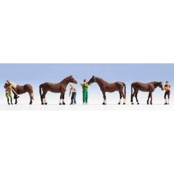 Limpiando los caballos.