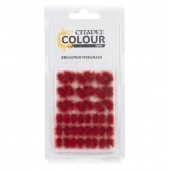 Matas de arbusto verdia veldt. Citadel colour.