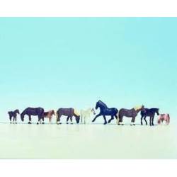 Caballos.