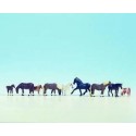 Horses. NOCH 15761 Horses. NOCH 15761
