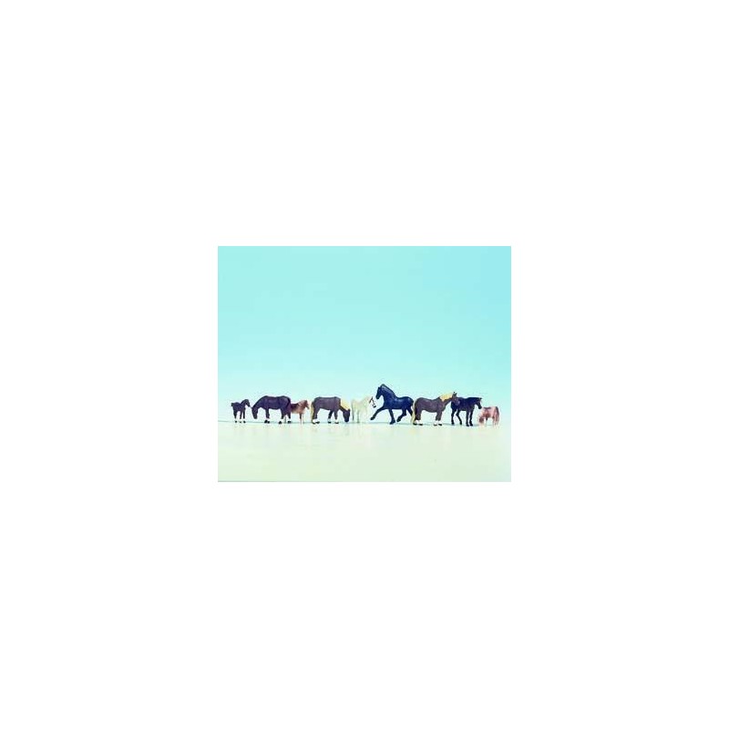 Horses. NOCH 15761 Horses. NOCH 15761
