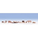Pigs. NOCH 15712 Pigs. NOCH 15712