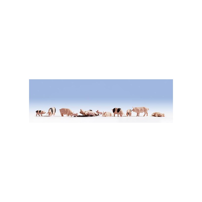 Pigs. NOCH 15712 Pigs. NOCH 15712