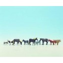 Farm animals. NOCH 36713 Farm animals. NOCH 36713