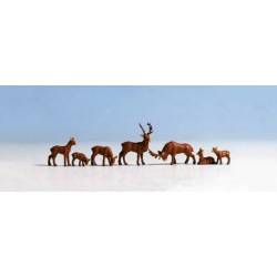 Cerf.