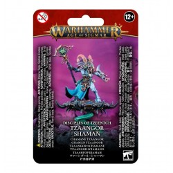 Age Of Sigmar. Chaman Tzaangor.