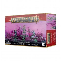Age Of Sigmar. Tzaangor Iluminado.