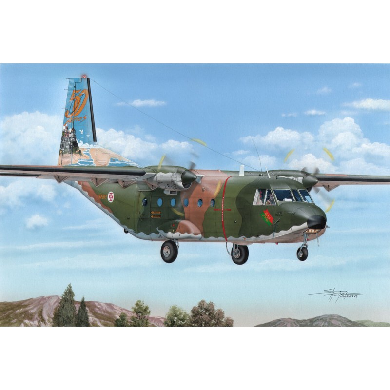 CASA C-212-100 "Tail-Art". CASA C-212-100 "Tail-Art".