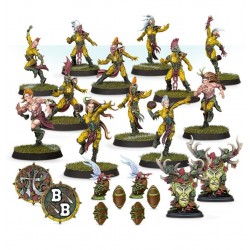 Wood Elf Blood Bowl Team – Athelorn Avengers.