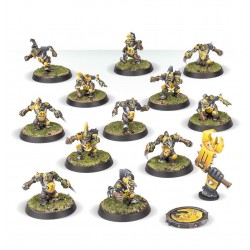 Team der Goblins: Scarcrag Snivellers.