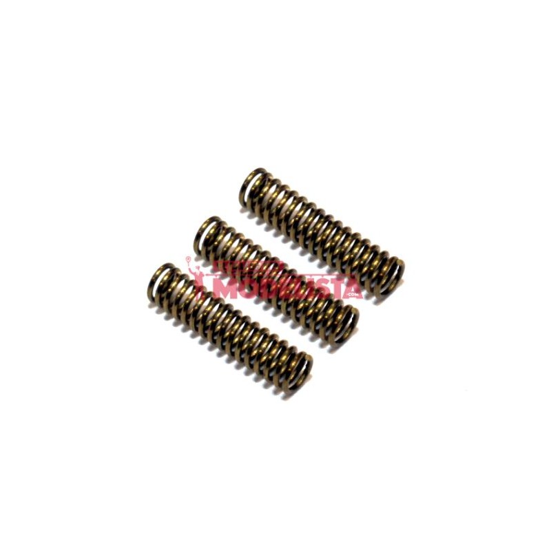 Springs (motor) TER/432 (x3).
