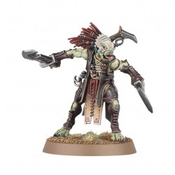 T’au Empire. Carnémorphe Kroot.