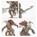 T'au Empire. Carnemorfo Kroot.