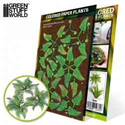 Plantas: Samambaias.