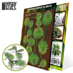Plantes : Palmier moulu.