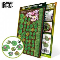 Plantes : Nénuphars.
