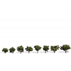 8 arbres.