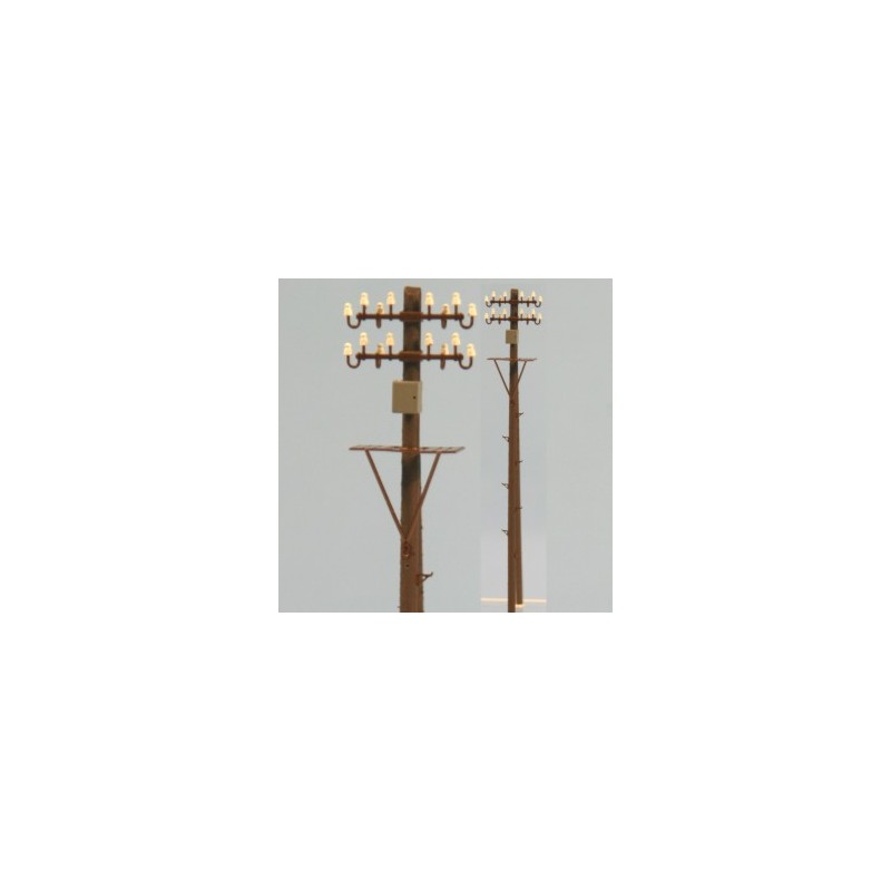 Electric wood pole with box and platform. RB 2833