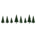 Fir trees.