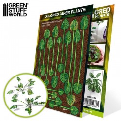 Plants: Monstera.