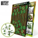 Plantas: Monstera.
