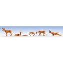 Deers. NOCH 15735 Deers. NOCH 15735