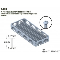 Vis à tête creuse cylindrique de 0,7 mm (240 pièces).